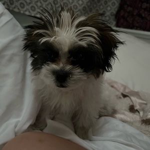 Meet your Posher, Chloe